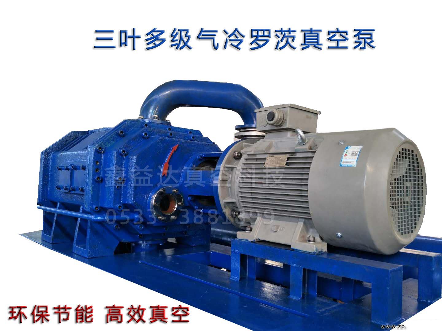 新型氣冷羅茨真空泵(圖2) 新型氣冷羅茨真空泵(圖2)